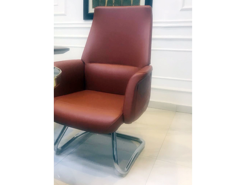 Imagia Italian Furniture - Brown Executive Visitor's Chair 