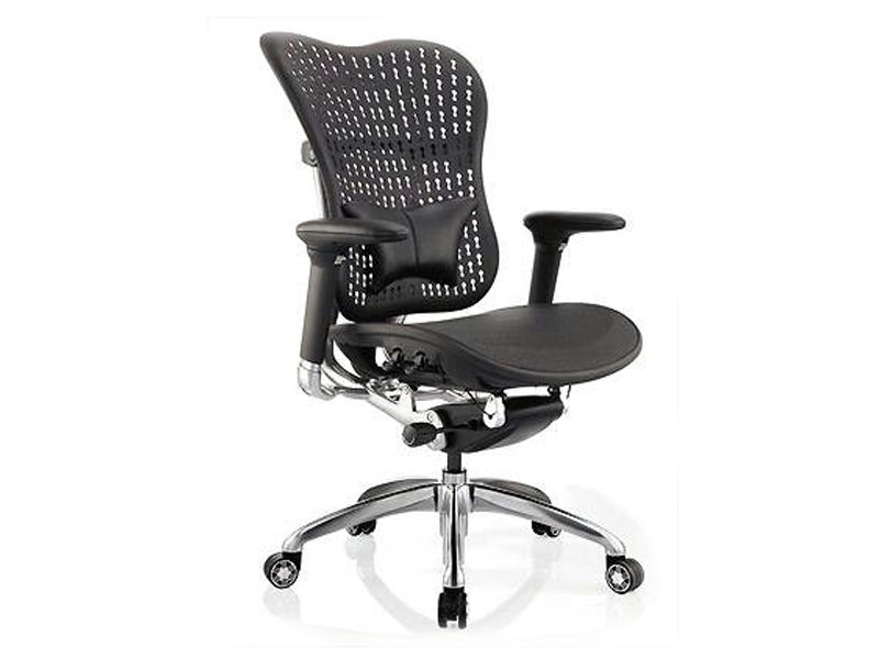 Imagia Italian Furniture - Mesh Back Ergonomic Executive Swivel Chair 